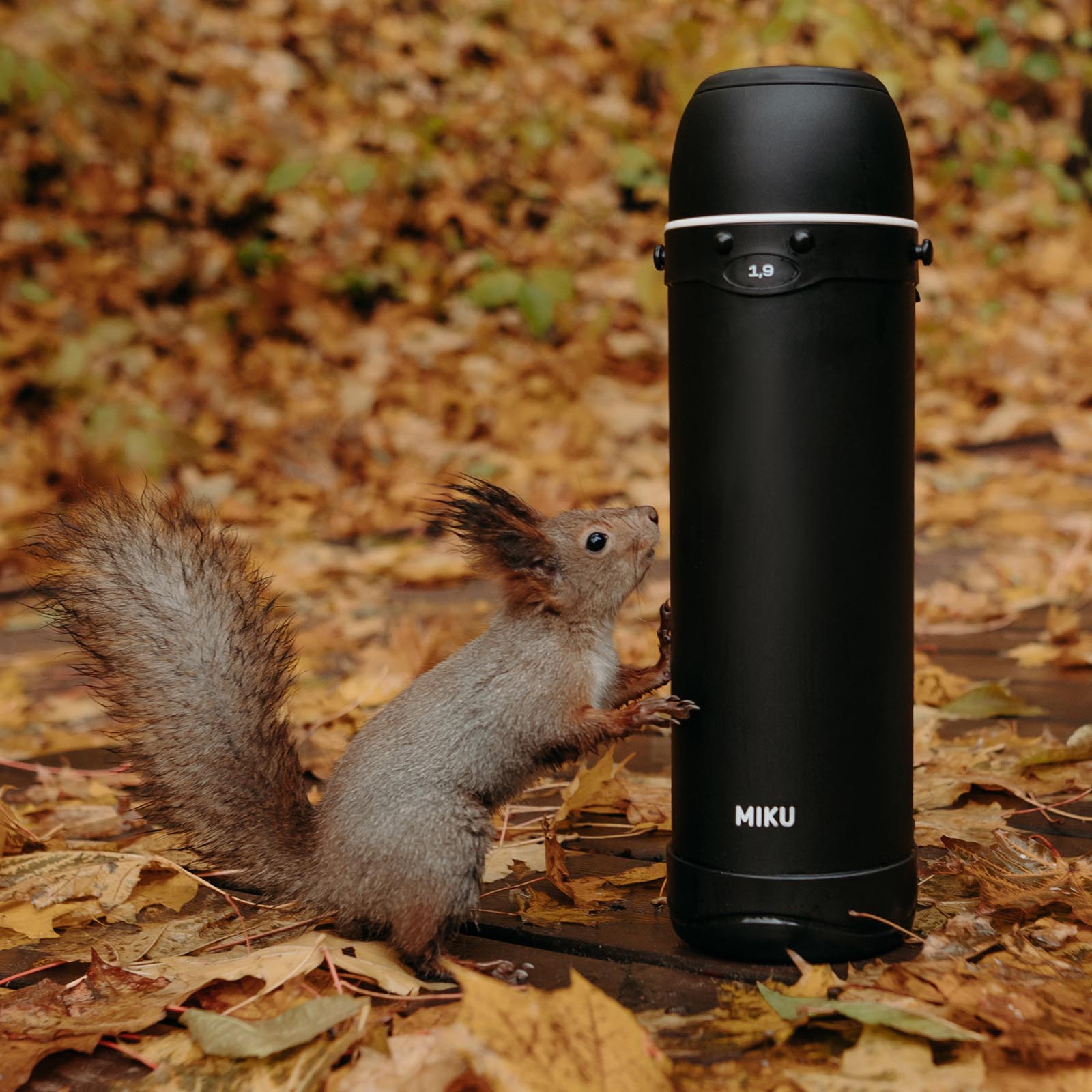 r7uaw332om2qx0d58o04pqaxl9bbkeqs